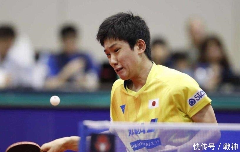 不仅吸引了 不仅吸引了