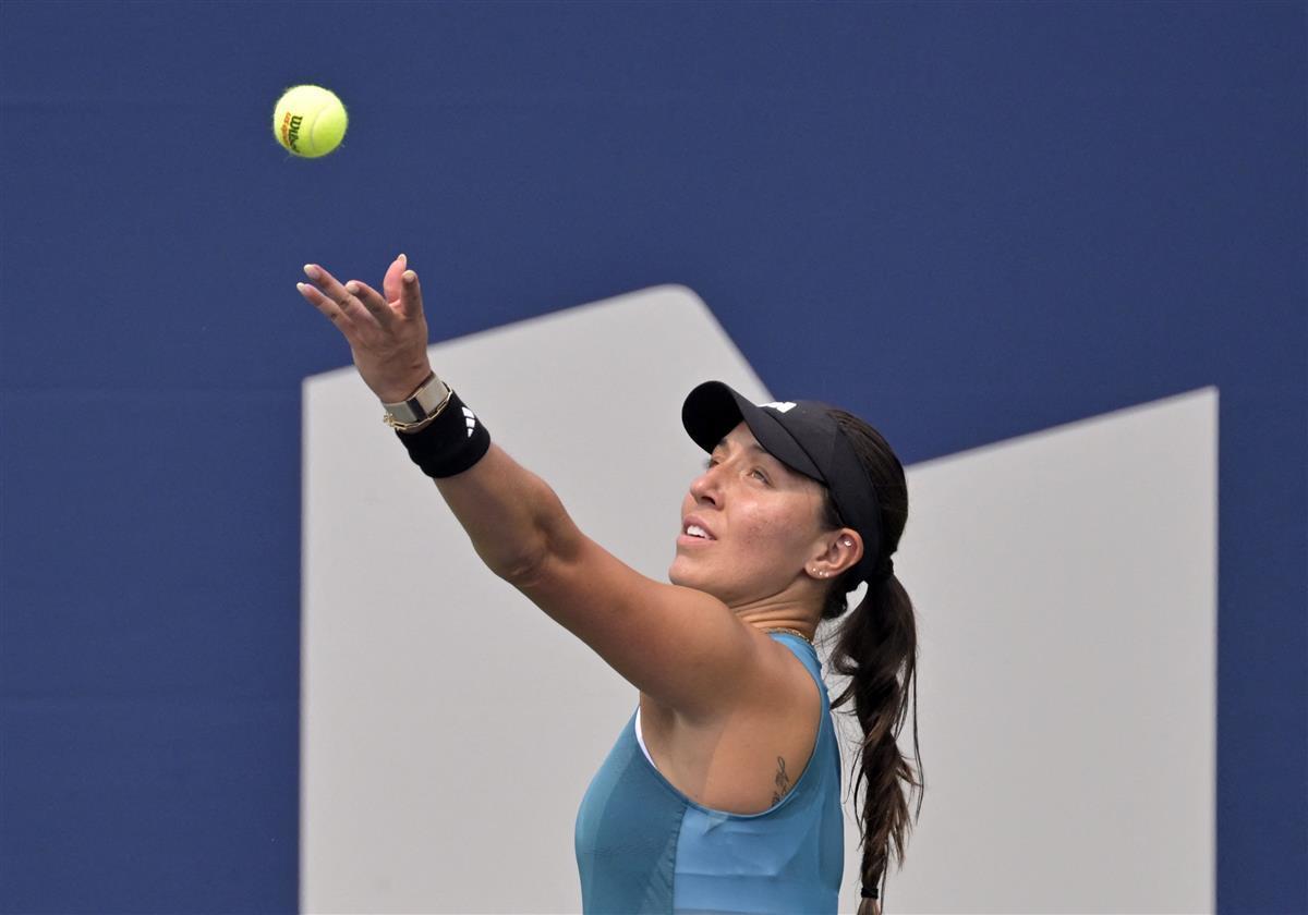 他们想要的 他们想要的